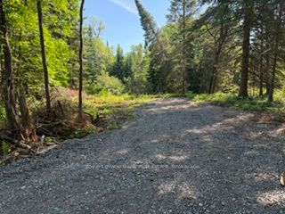 0 Pt Lt 13 Con 8 Road Property Photo 2