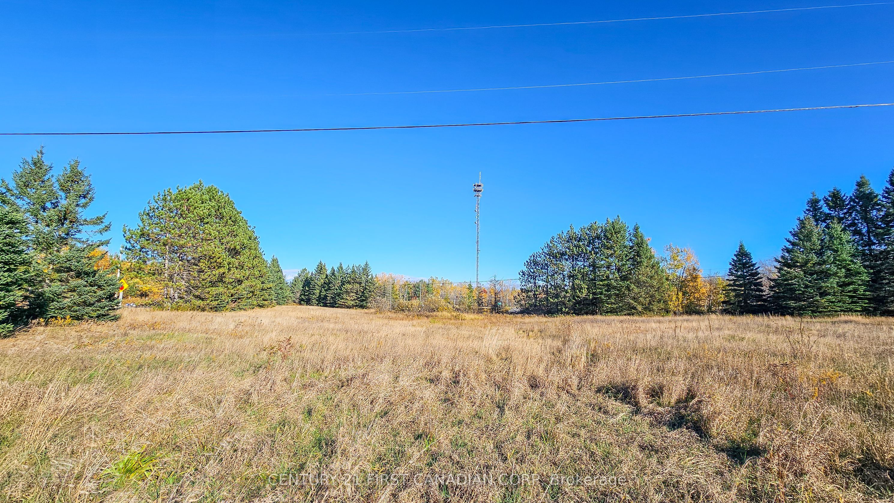 45 Tower Road Property Photo 11