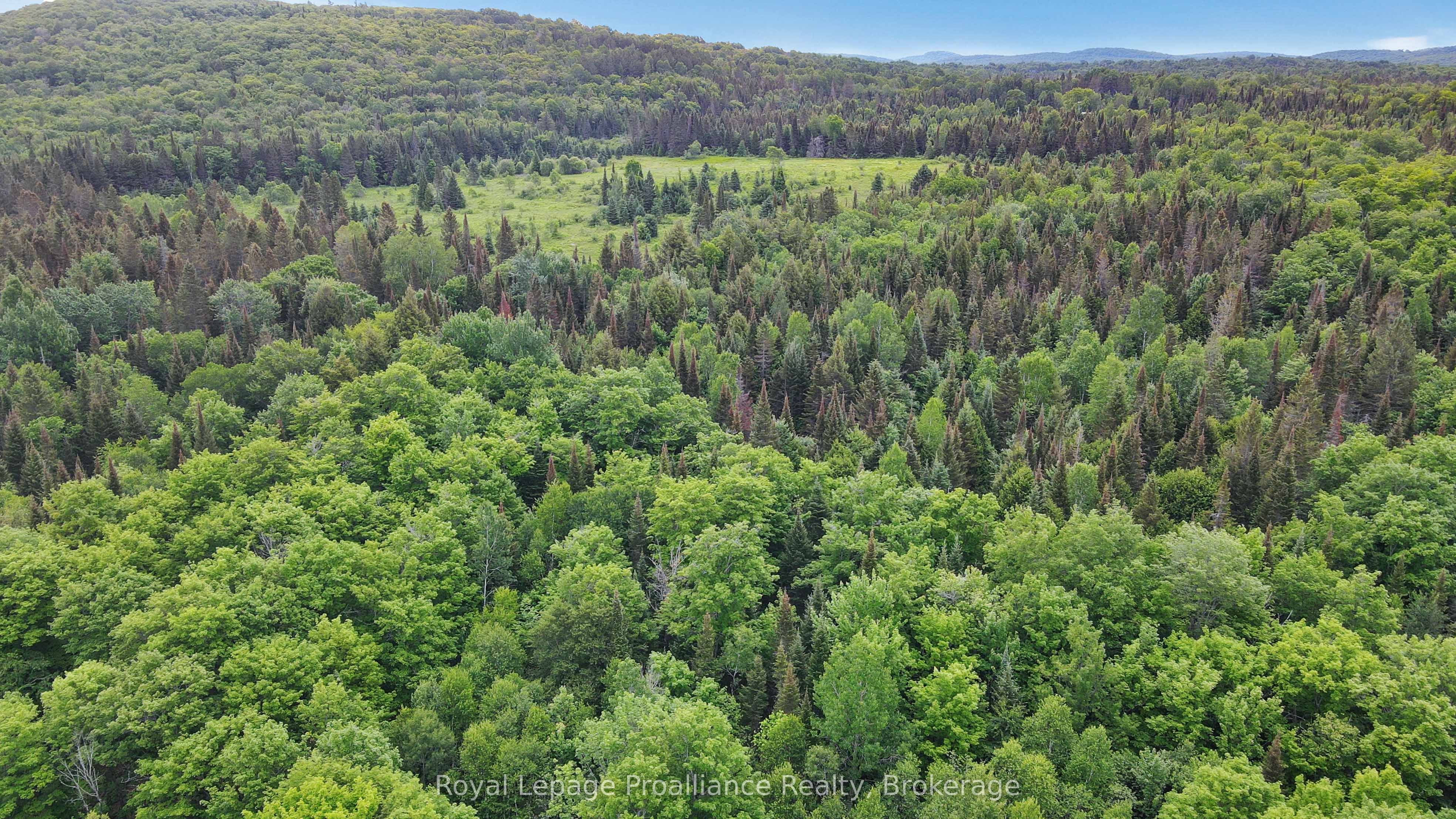 26643 Highway 60 Property Photo 7
