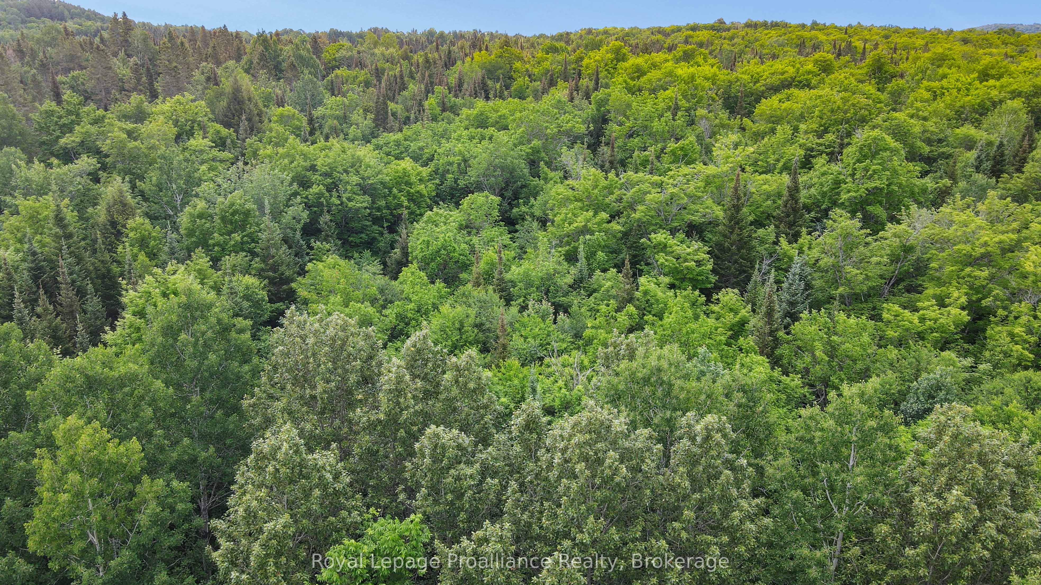 26643 Highway 60 Property Photo 11