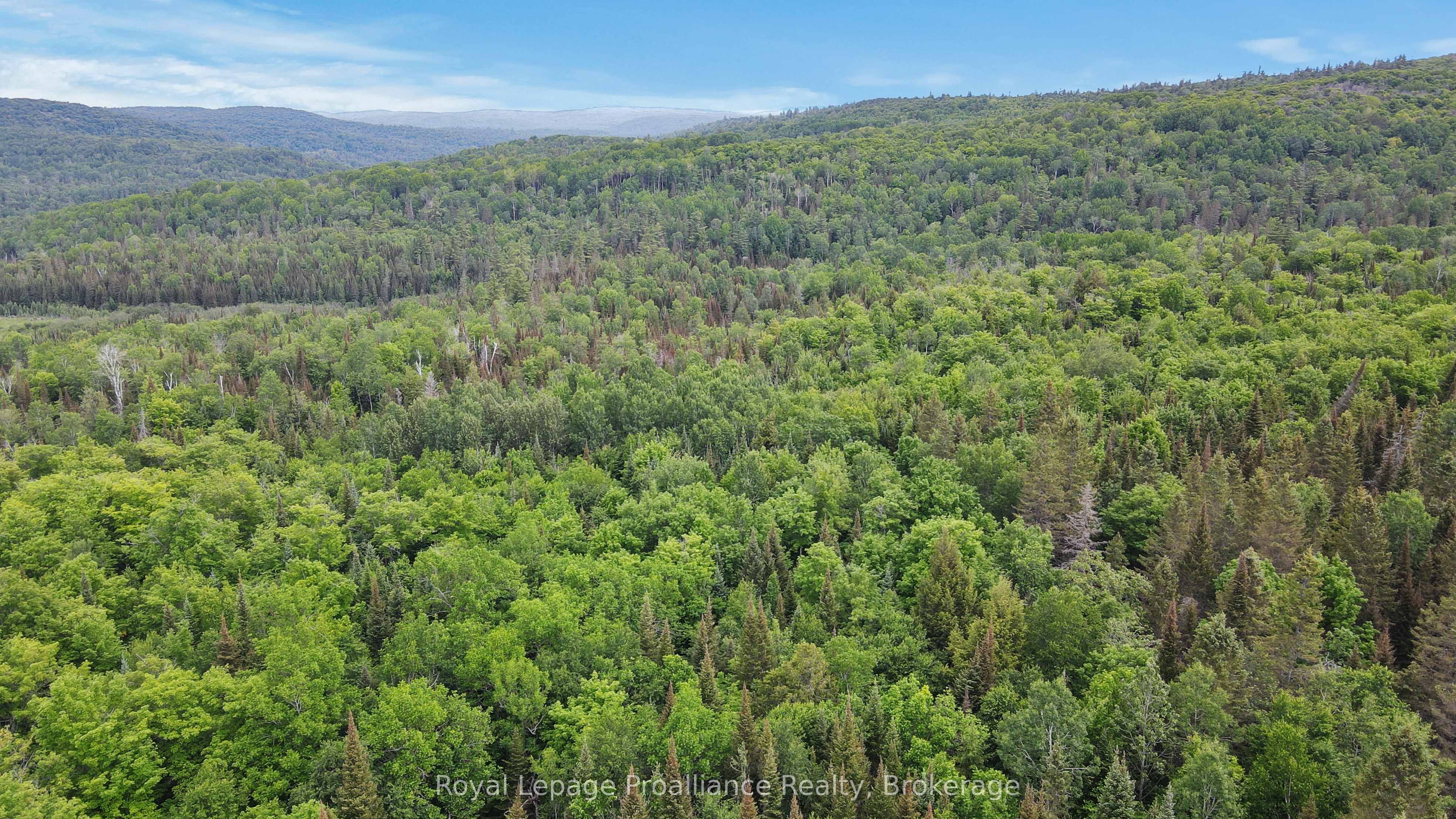 26643 Highway 60 Property Photo 13