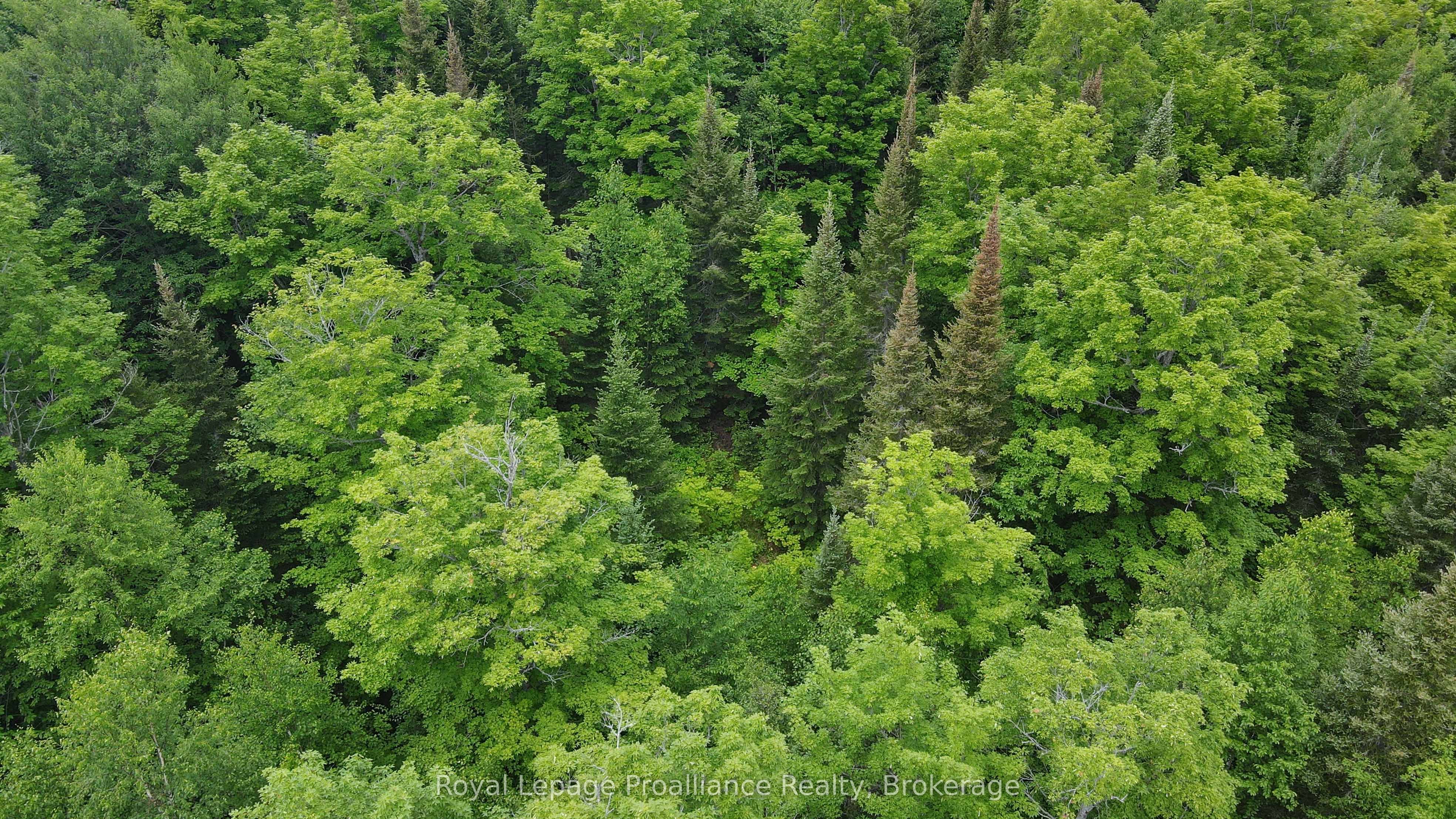 26643 Highway 60 Property Photo 14