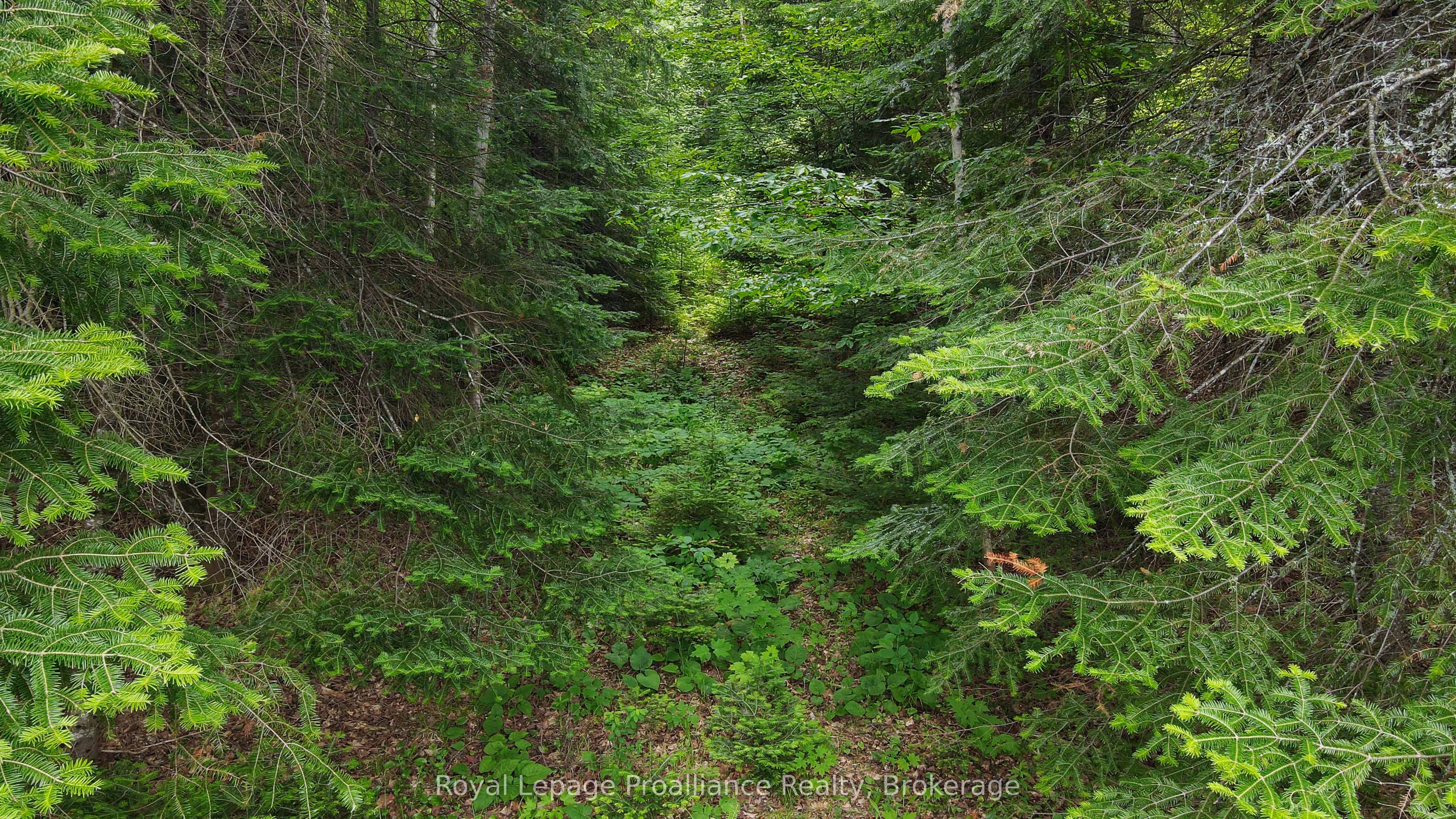 26643 Highway 60 Property Photo 17