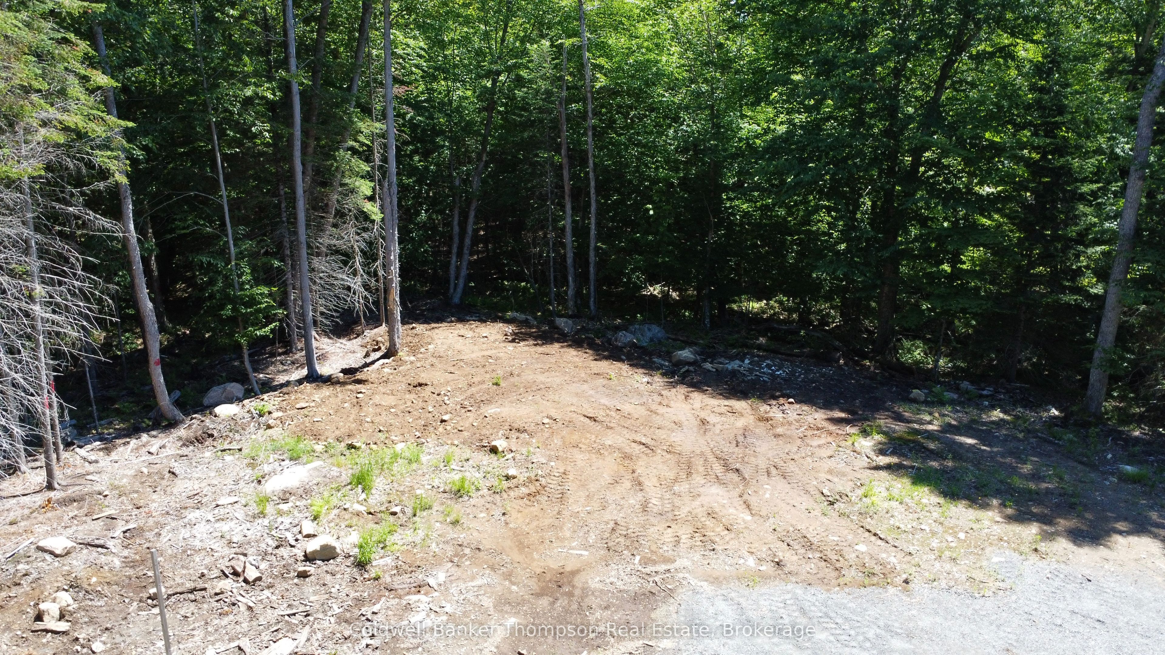78 Granite Drive Property Photo 5