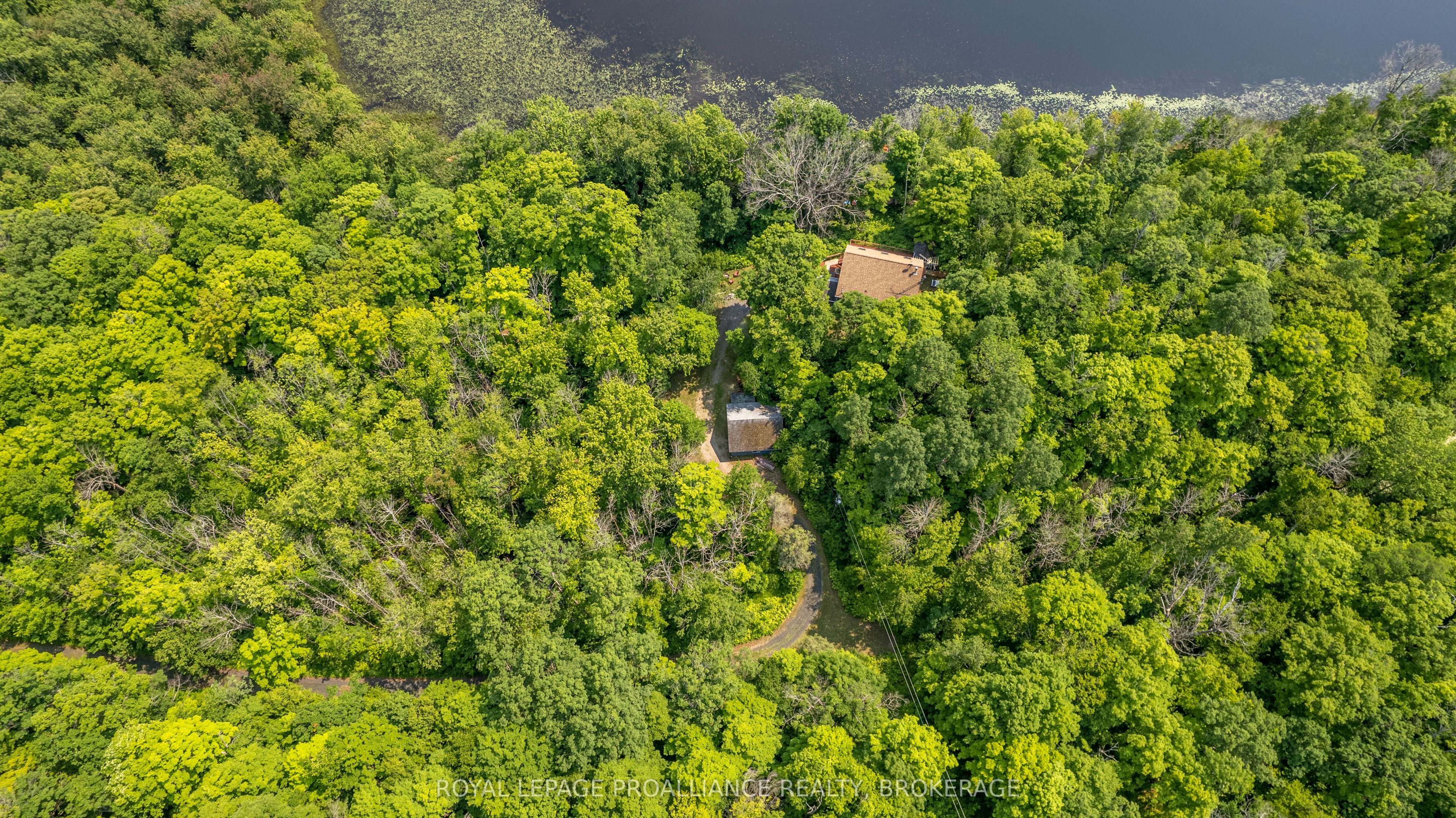 29263 Highway 7 Property Photo 36