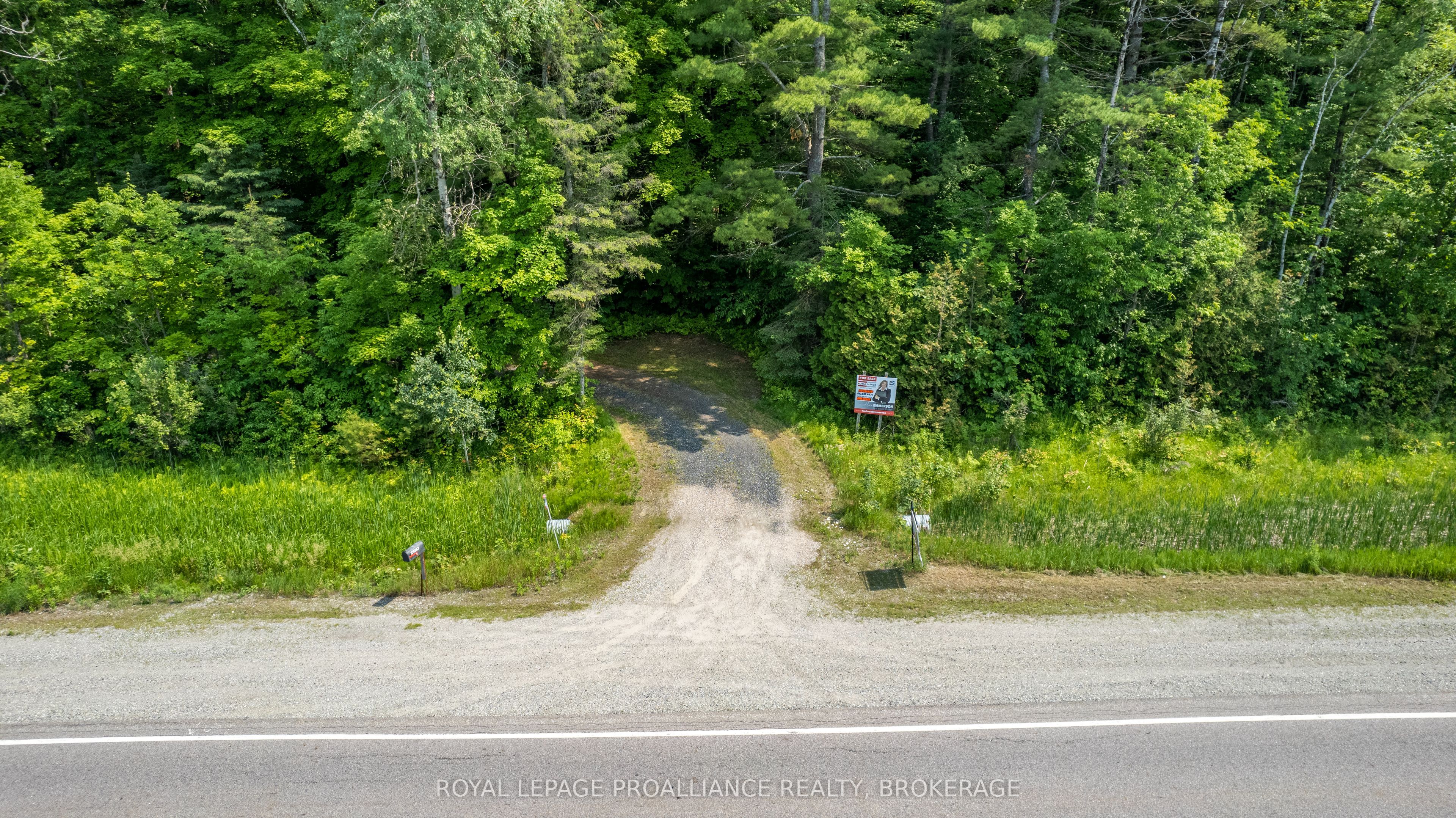 29263 Highway 7 Property Photo 41