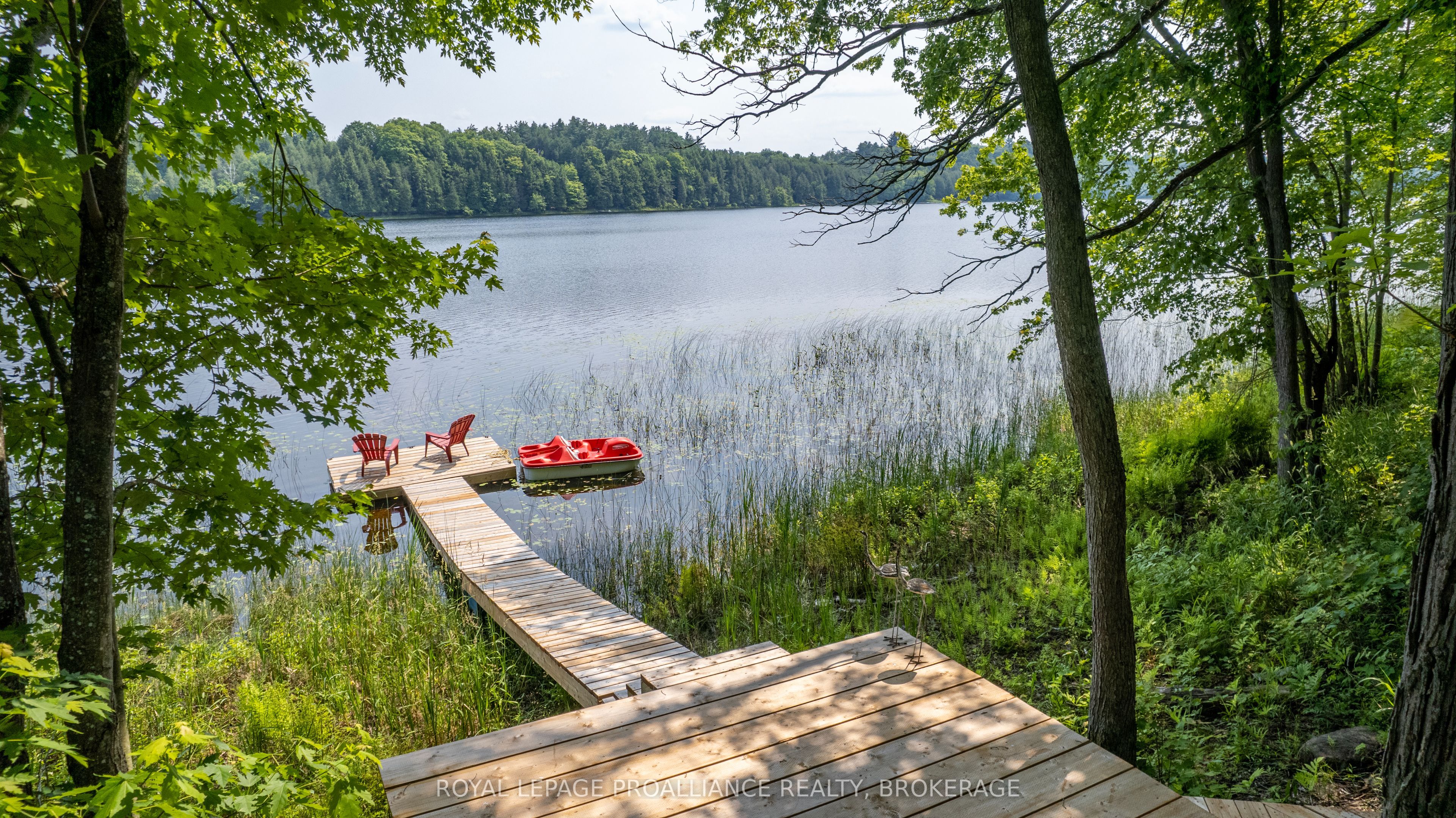 29263 Highway 7 Property Photo 43