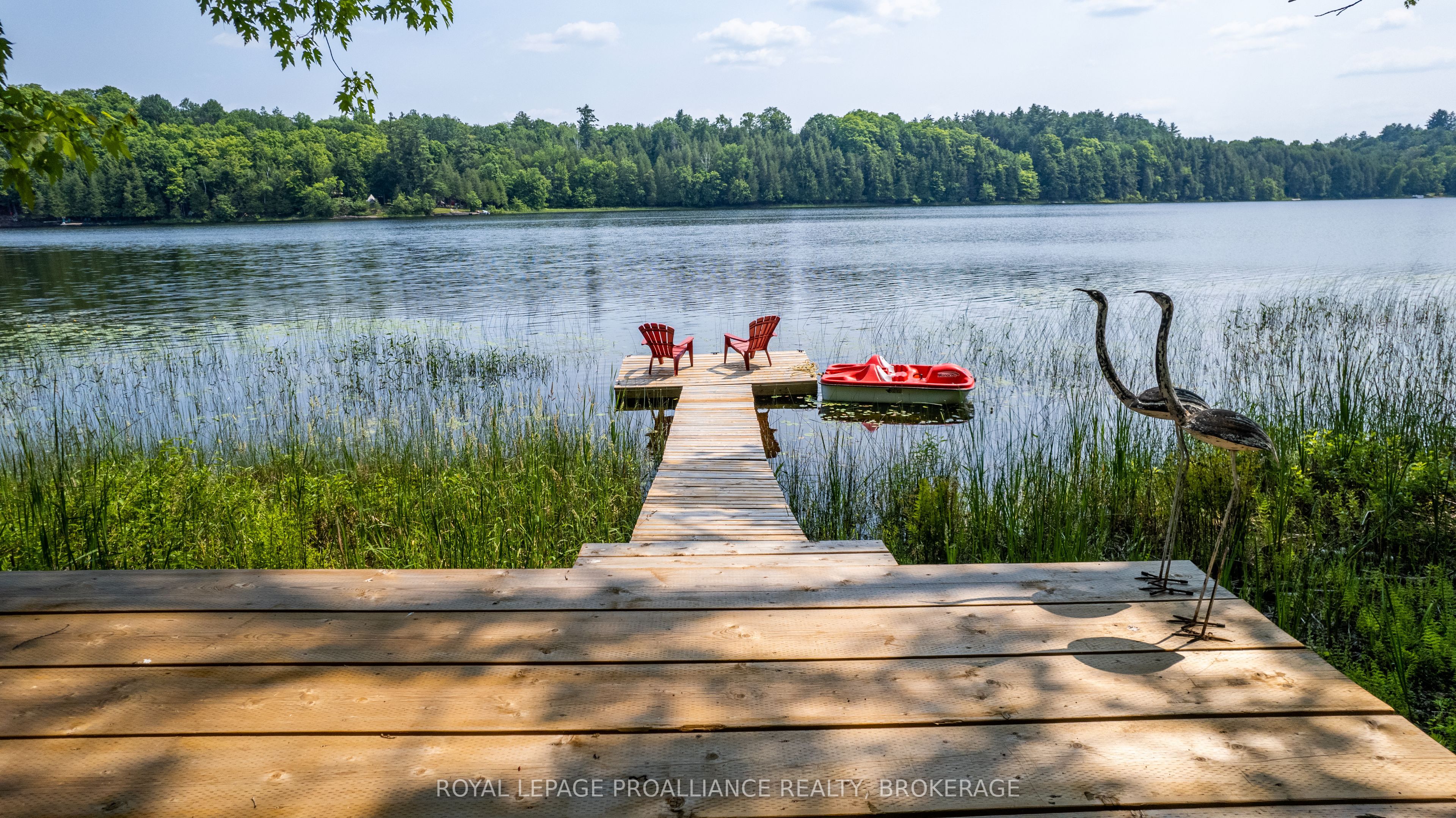 29263 Highway 7 Property Photo 45