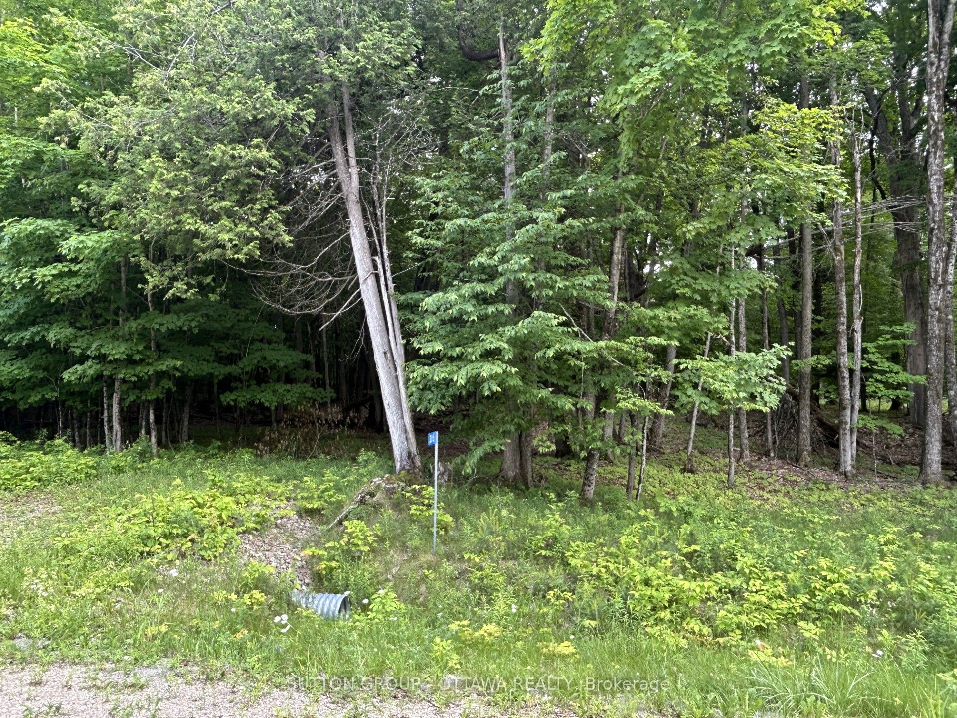 14 Lumberjack Trail Property Photo 2