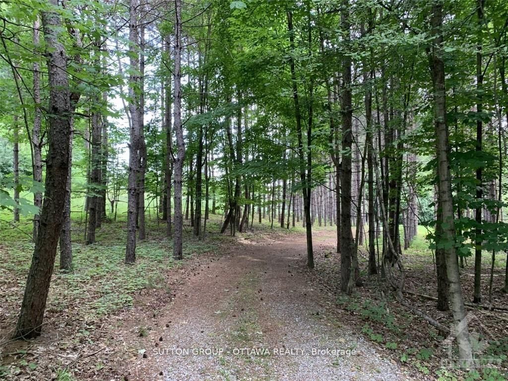 14 Lumberjack Trail Property Photo 4