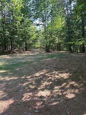 2875 County Road 21 Road Property Photo 6