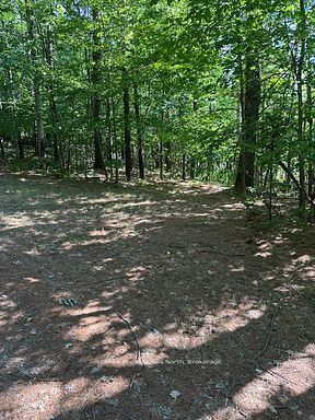 2875 County Road 21 Road Property Photo 19