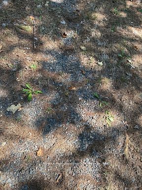 2875 County Road 21 Road Property Photo 20