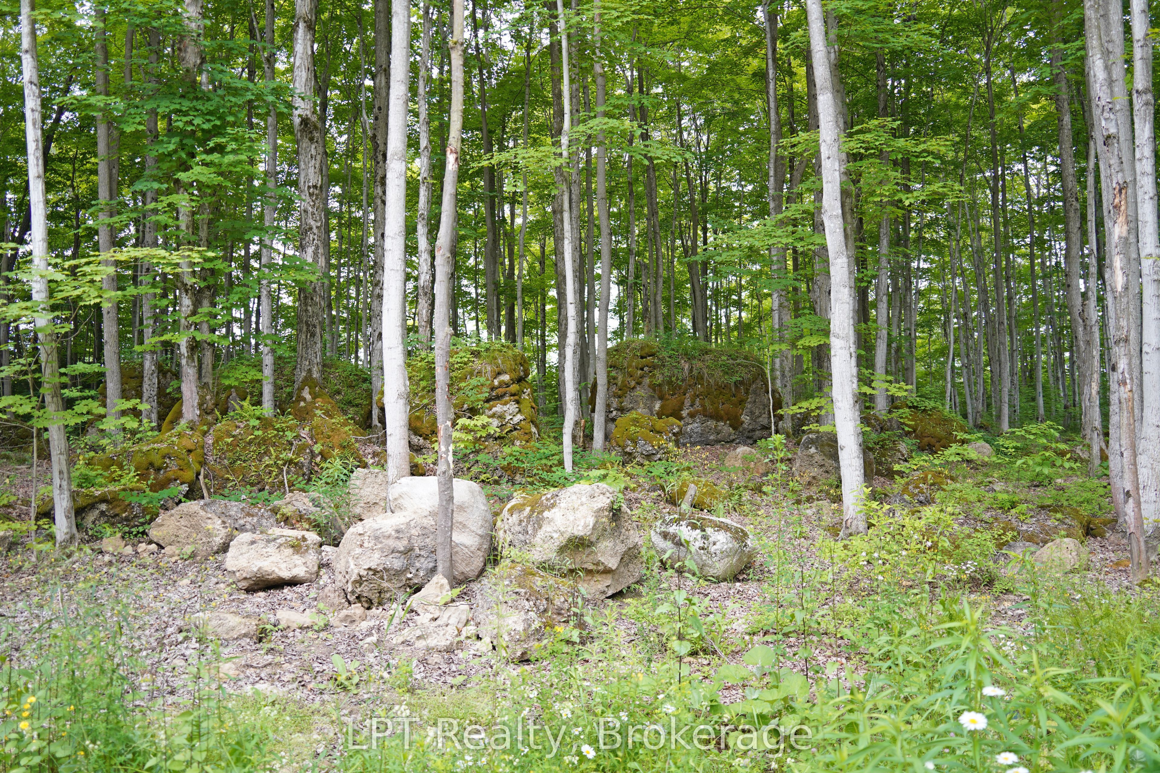 382488 Concession 17 Road Property Photo 43