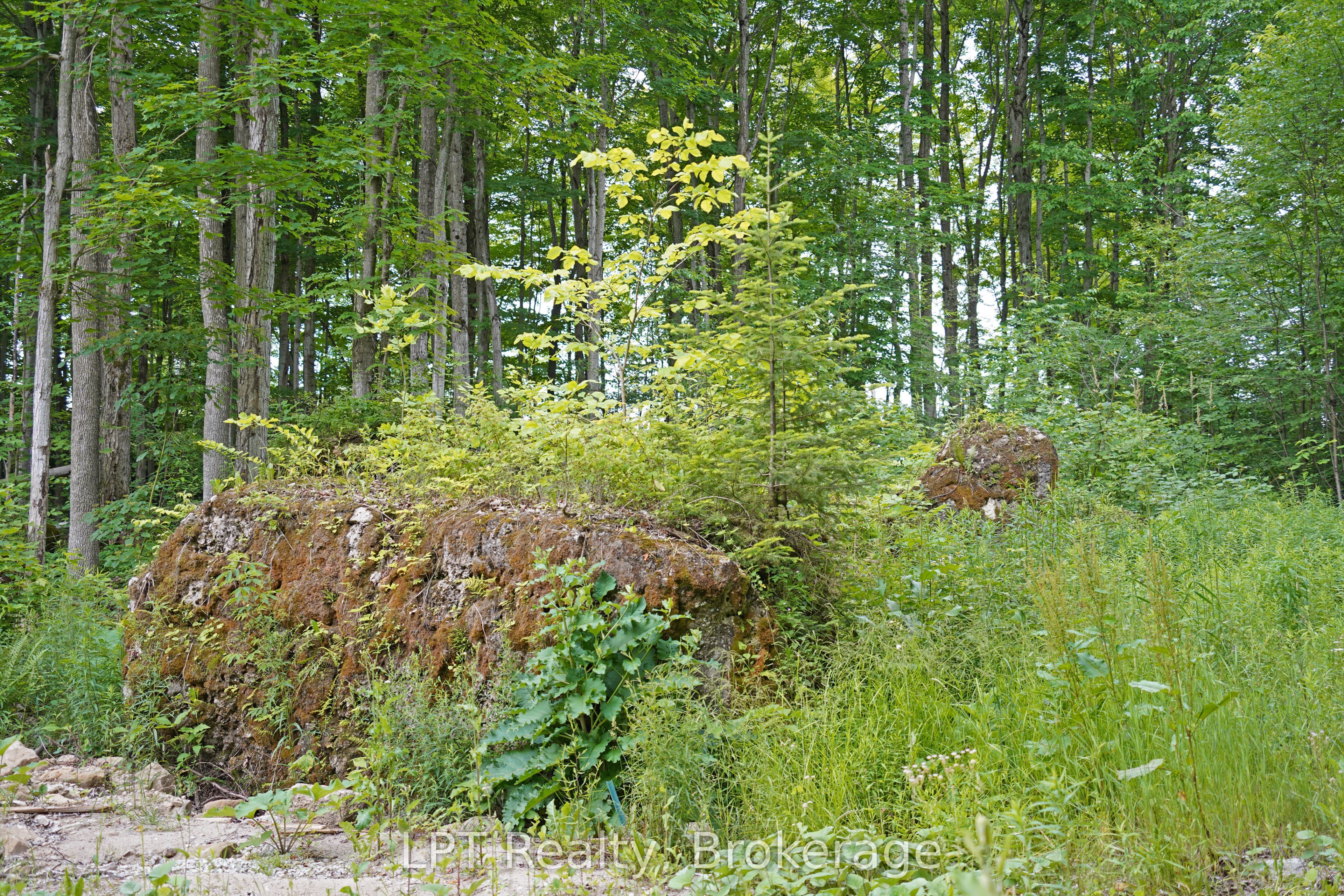 382488 Concession 17 Road Property Photo 45