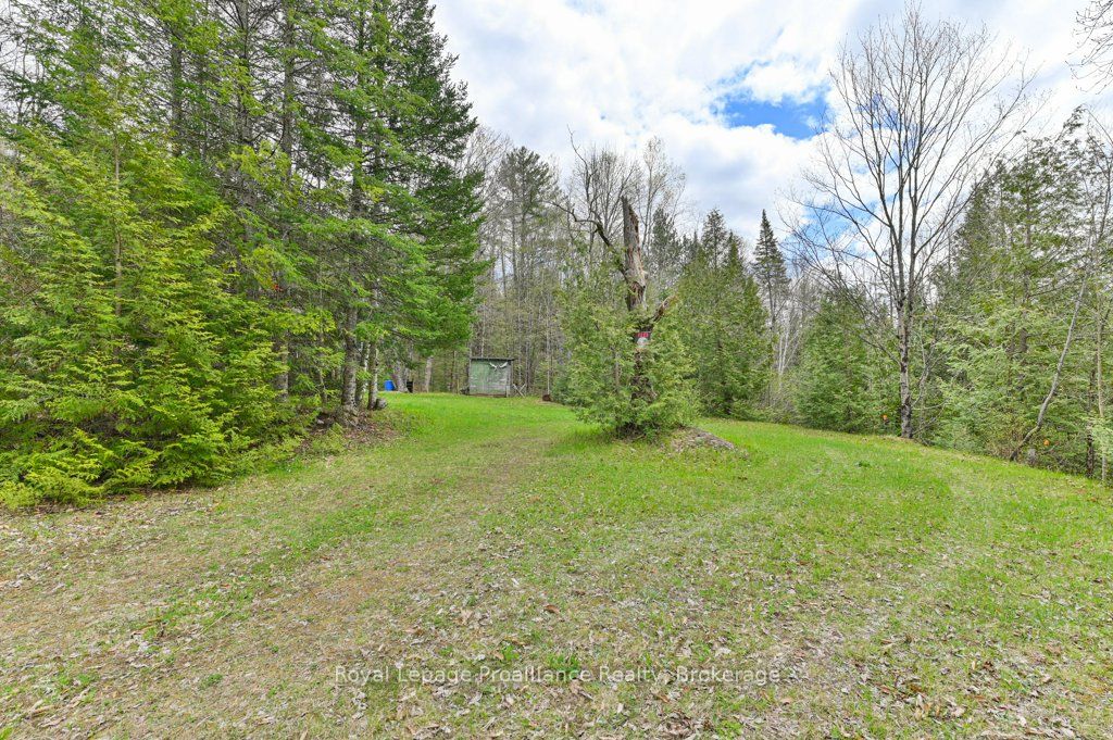 2611 River Road Property Photo 4