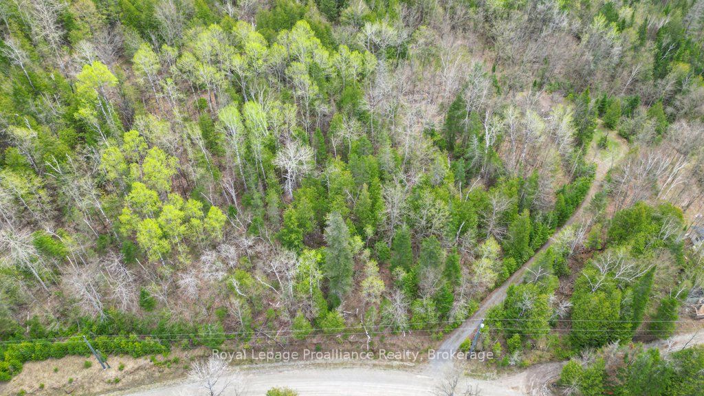 2611 River Road Property Photo 20