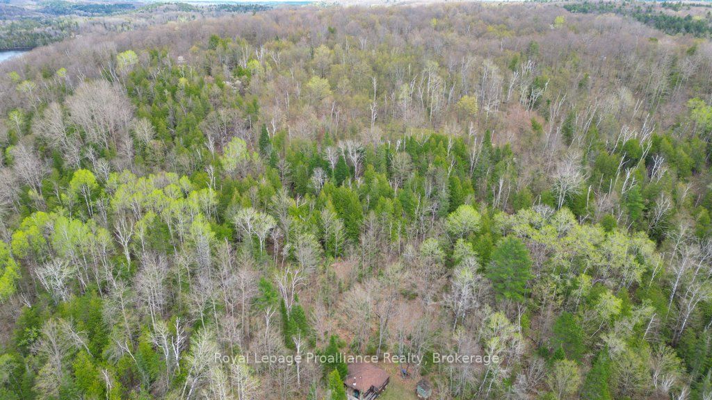 2611 River Road Property Photo 24