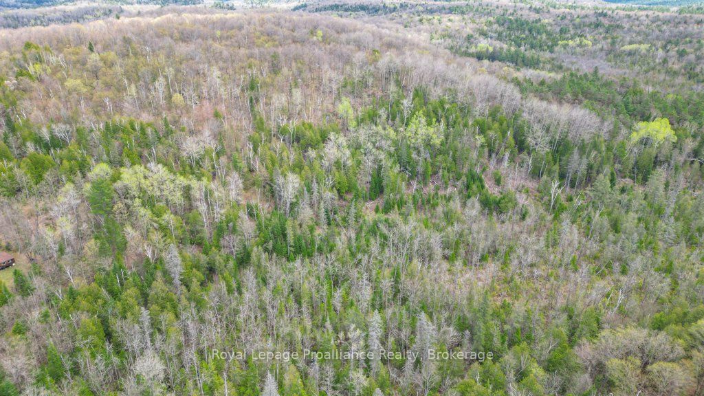 2611 River Road Property Photo 25