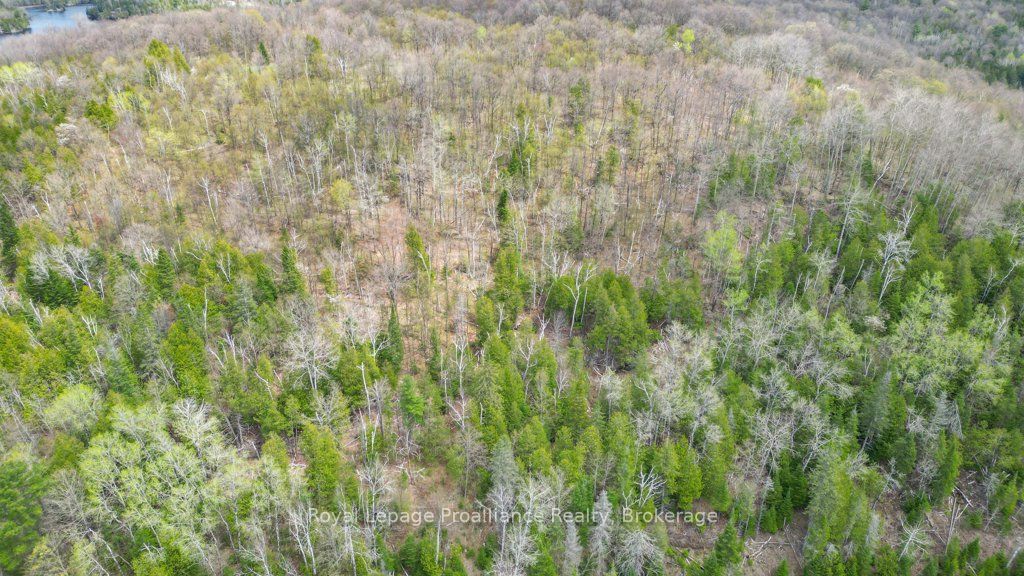 2611 River Road Property Photo 26