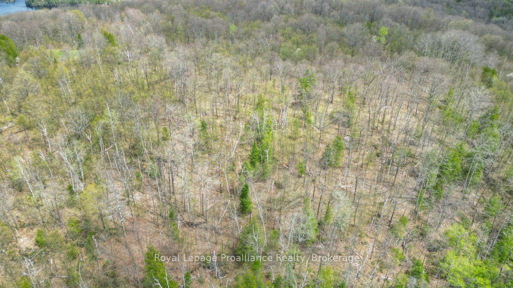 2611 River Road Property Photo 27