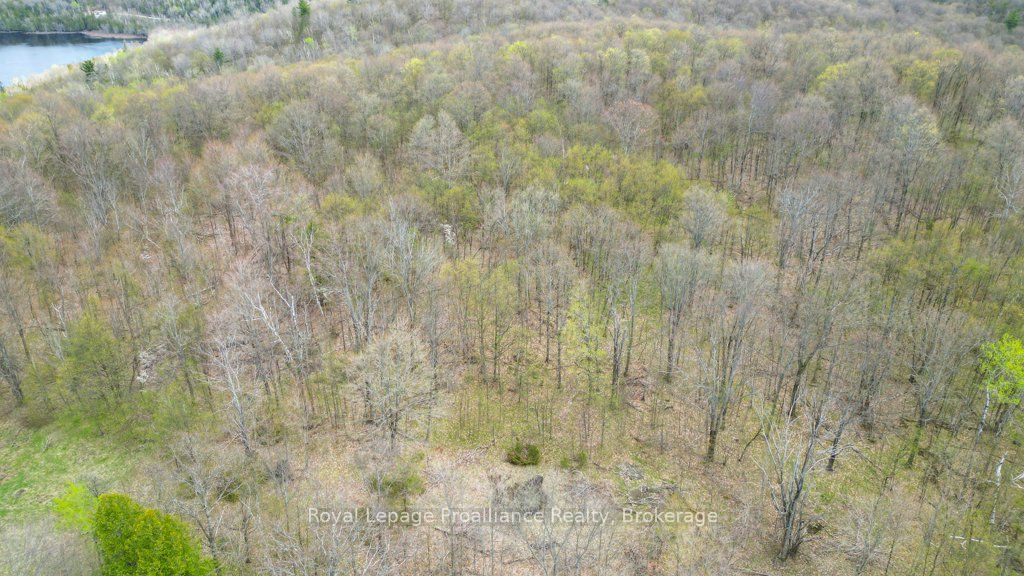2611 River Road Property Photo 28