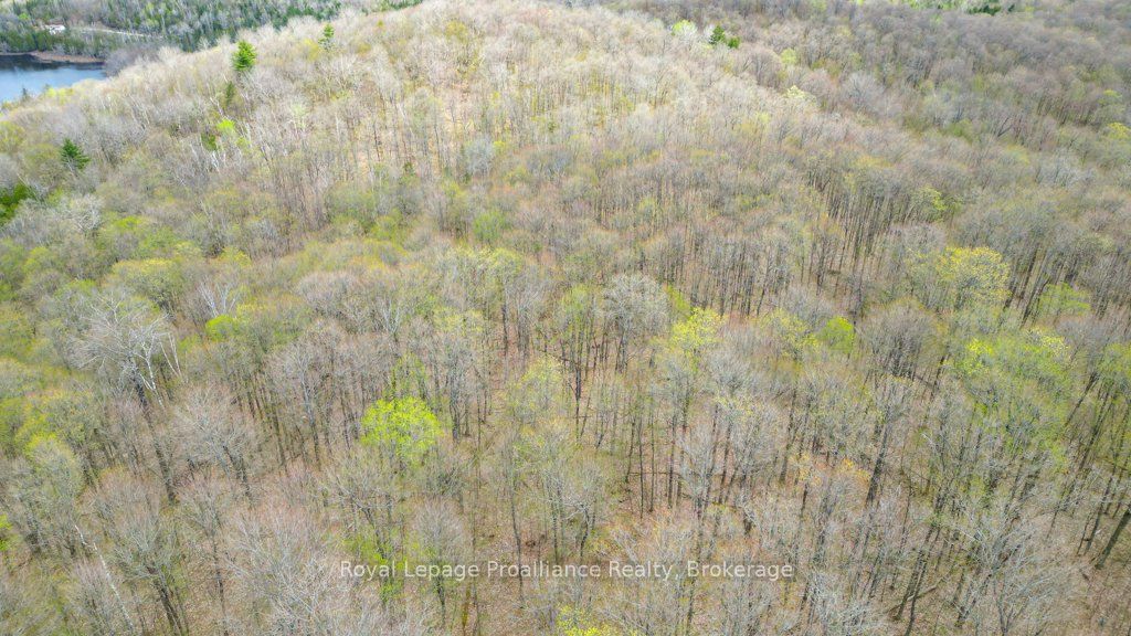 2611 River Road Property Photo 29