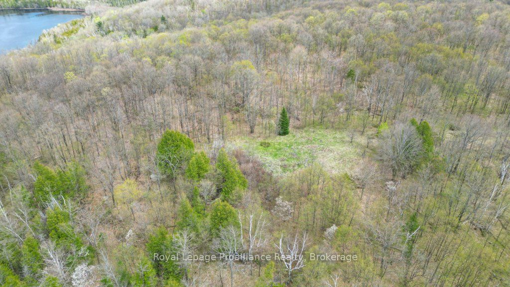 2611 River Road Property Photo 30