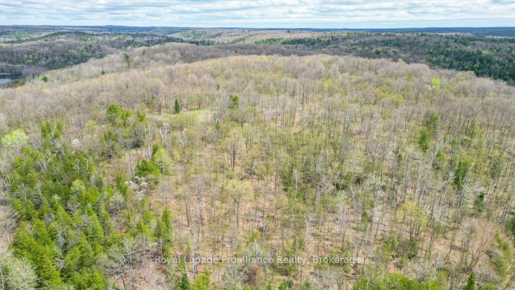 2611 River Road Property Photo 31
