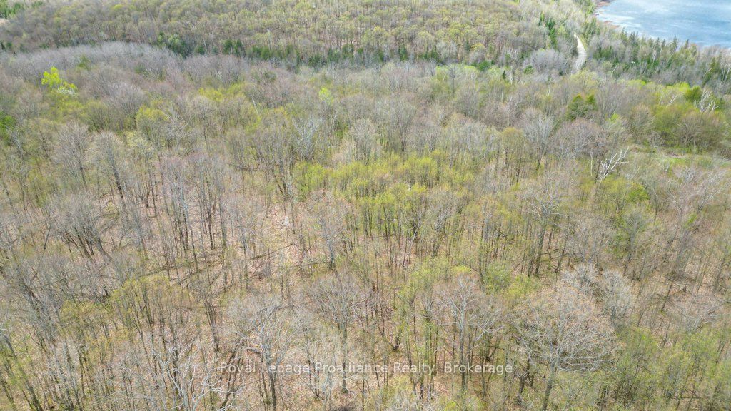 2611 River Road Property Photo 32
