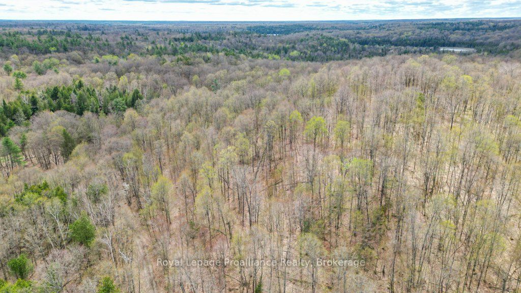 2611 River Road Property Photo 33