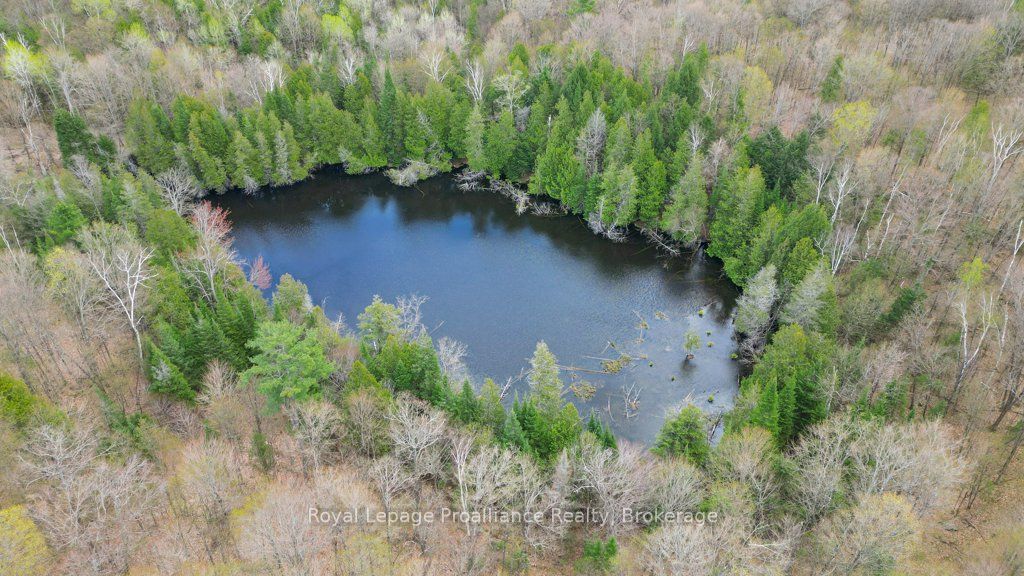 2611 River Road Property Photo 34