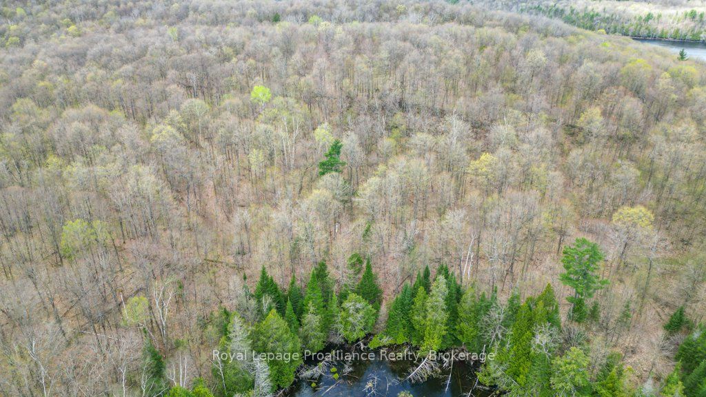 2611 River Road Property Photo 35