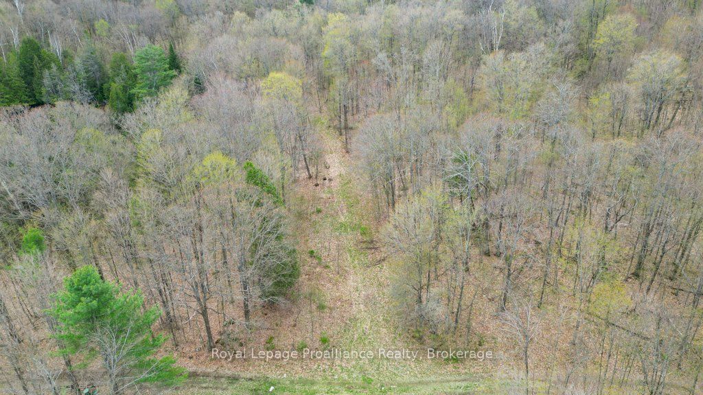 2611 River Road Property Photo 36