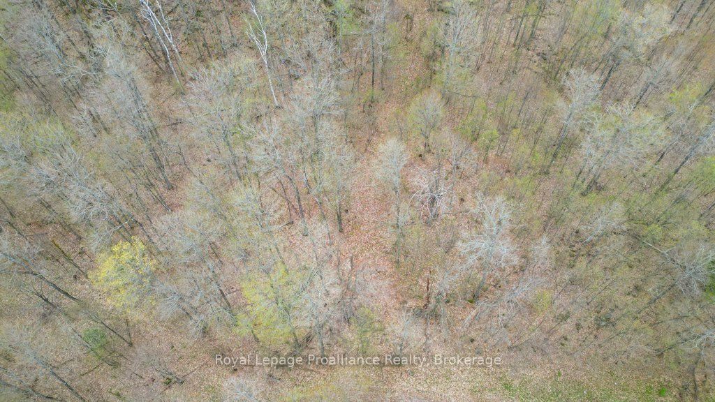 2611 River Road Property Photo 37