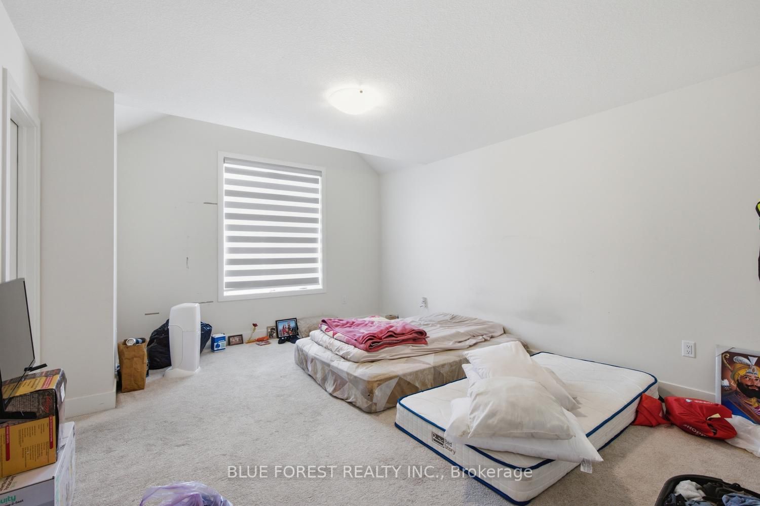 23 Christopher Court Property Photo 14