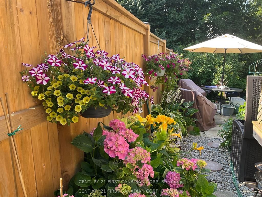 1099 Byron Baseline Road Property Photo 39