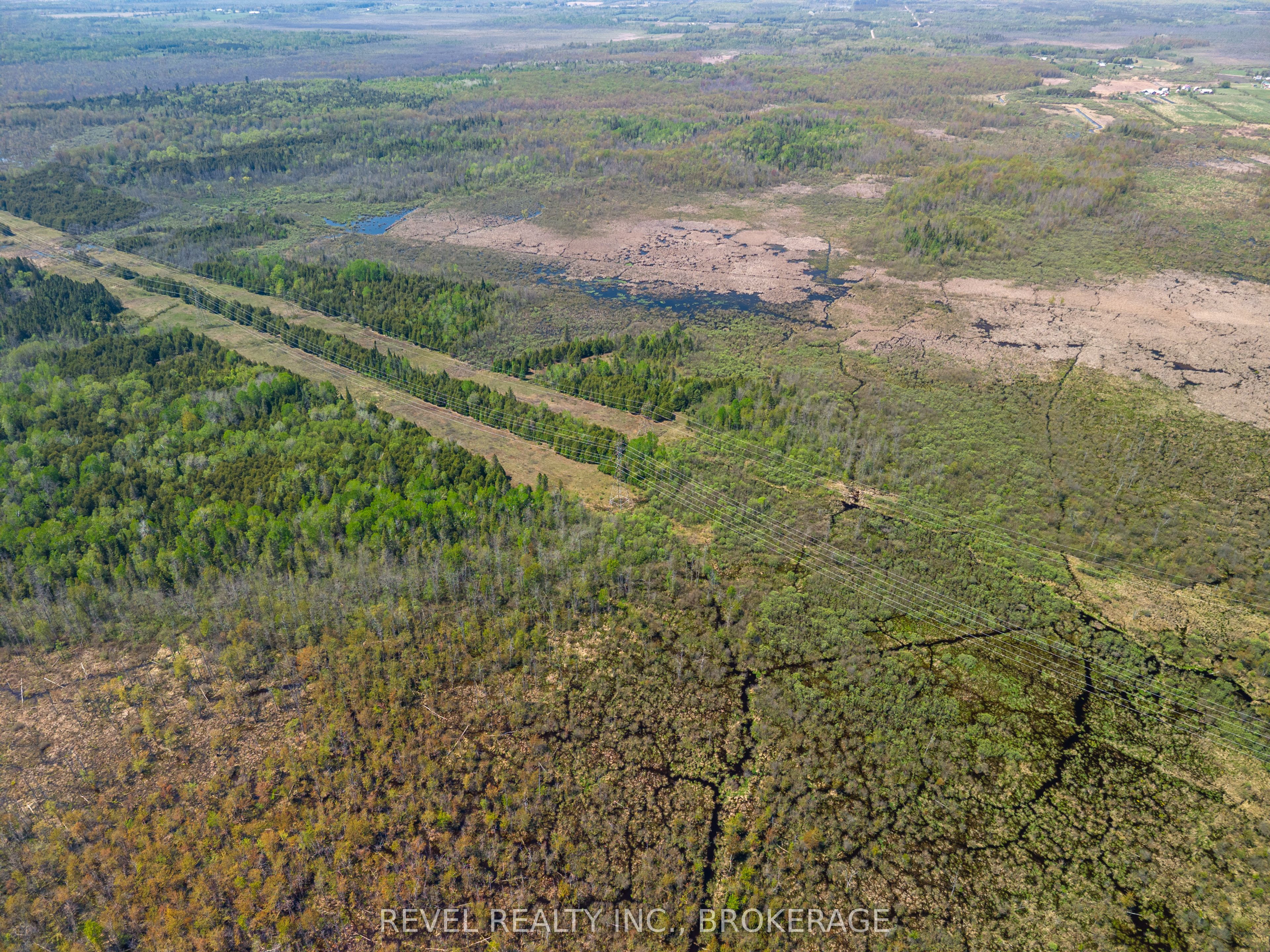 12206 Land O'nod Road Property Photo 13