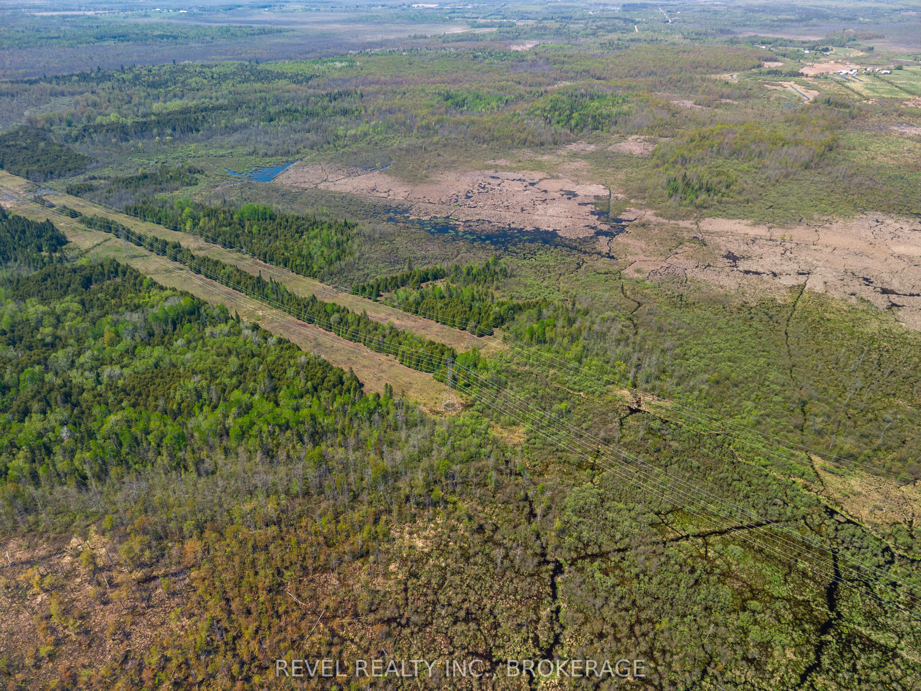 12206 Land O'nod Road Property Photo 14