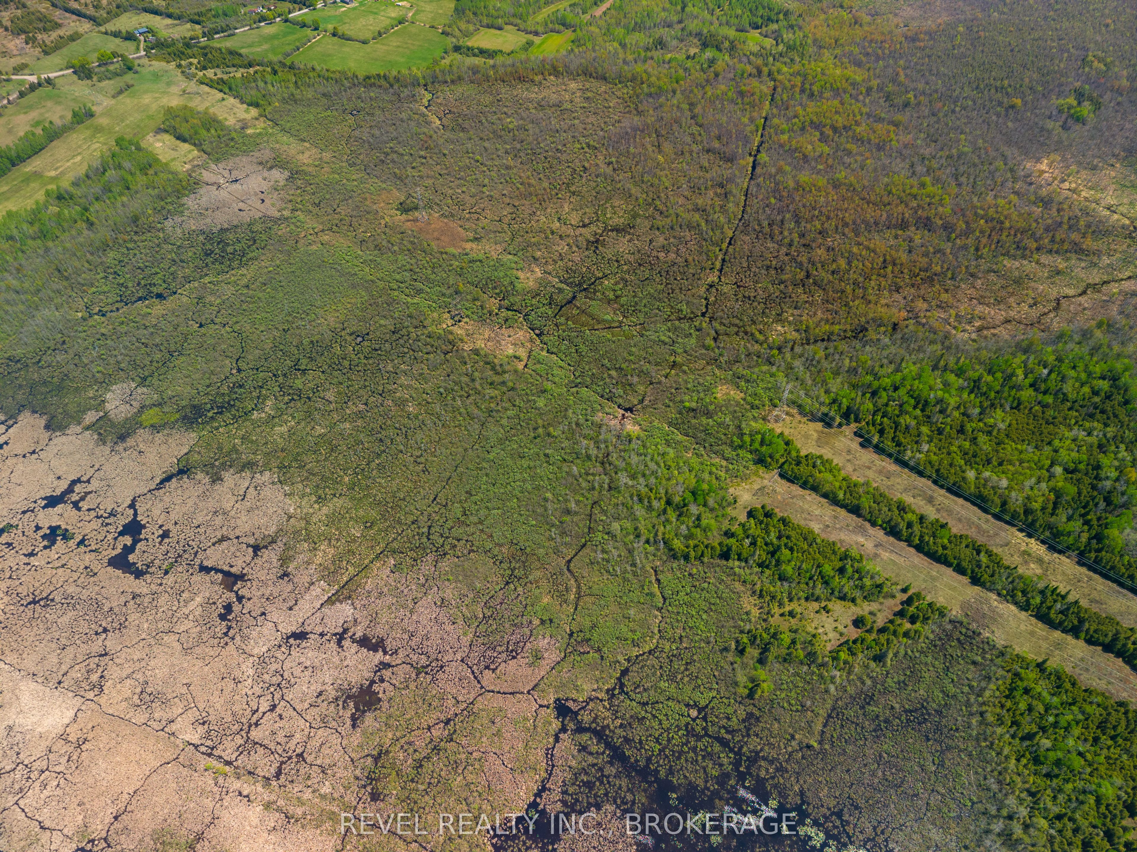 12206 Land O'nod Road Property Photo 16