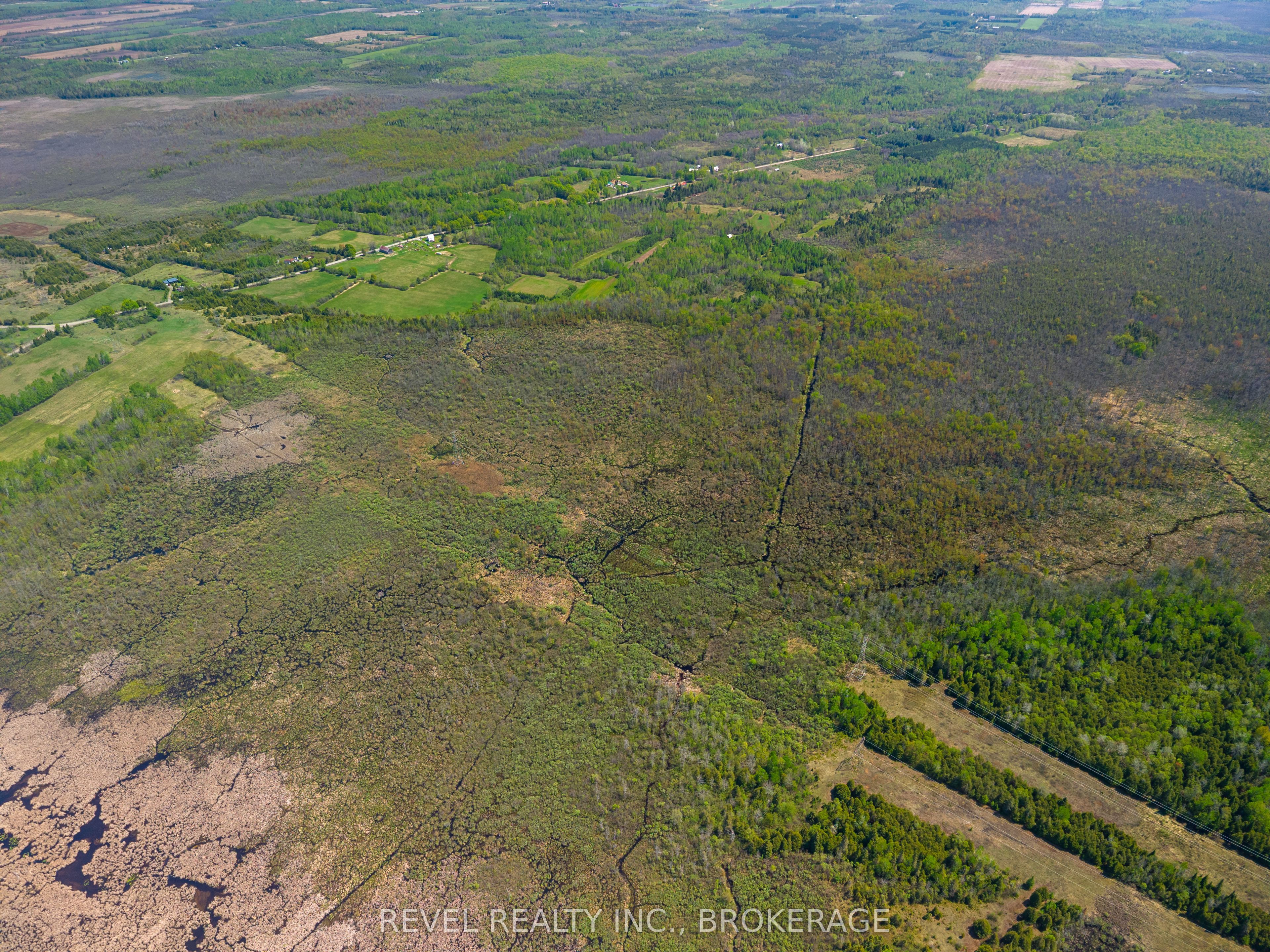 12206 Land O'nod Road Property Photo 17