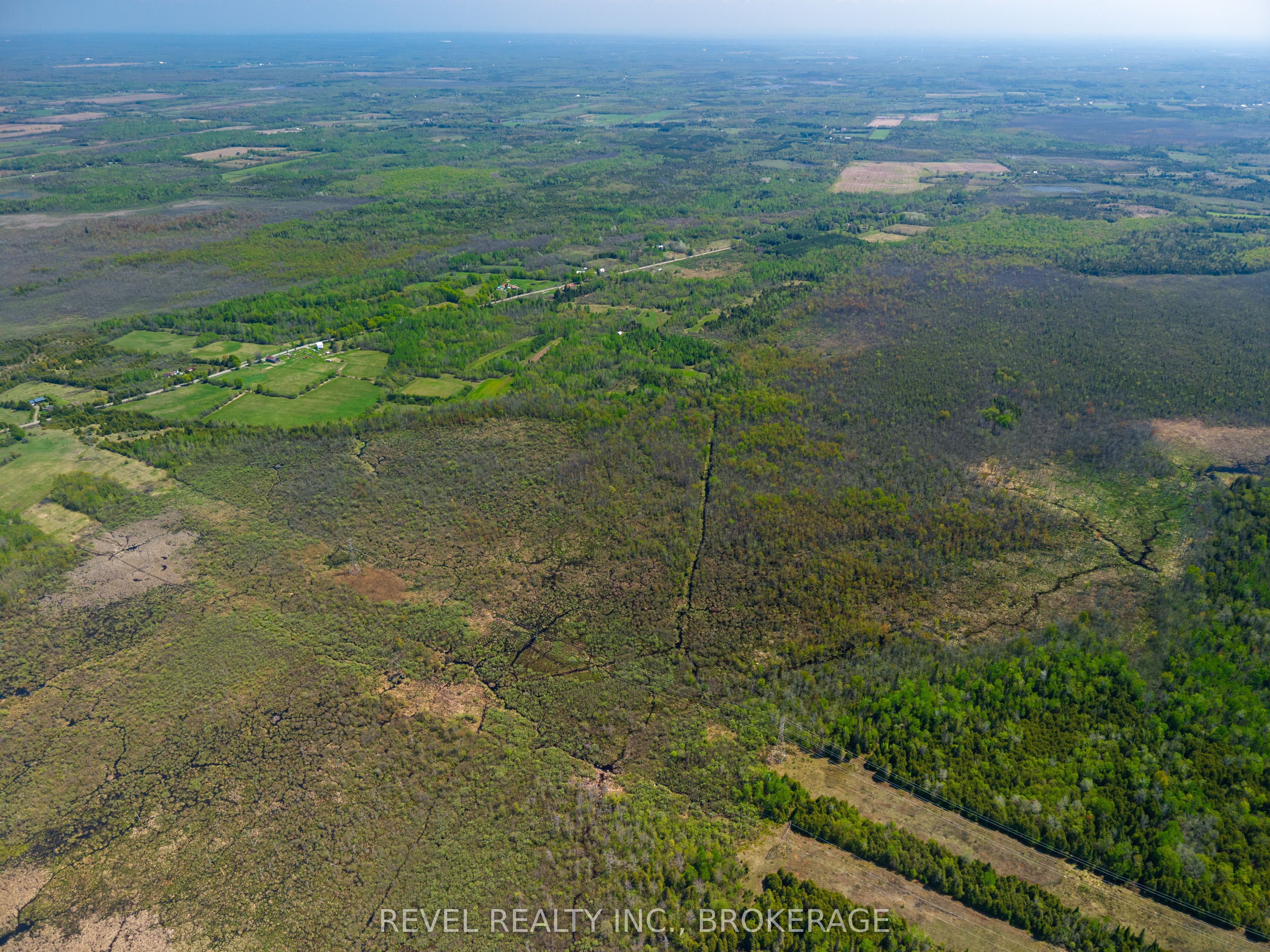 12206 Land O'nod Road Property Photo 19