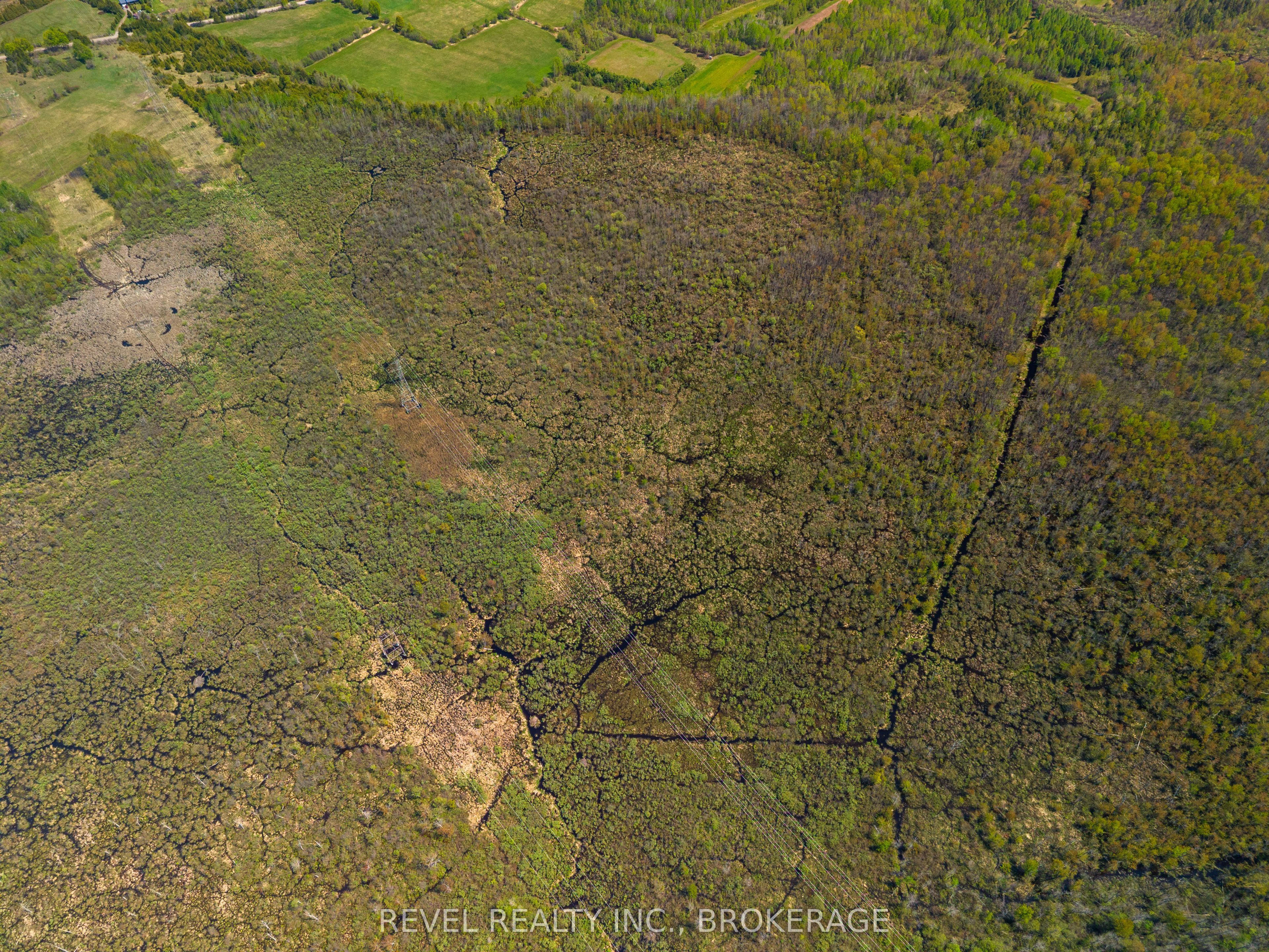 12206 Land O'nod Road Property Photo 26