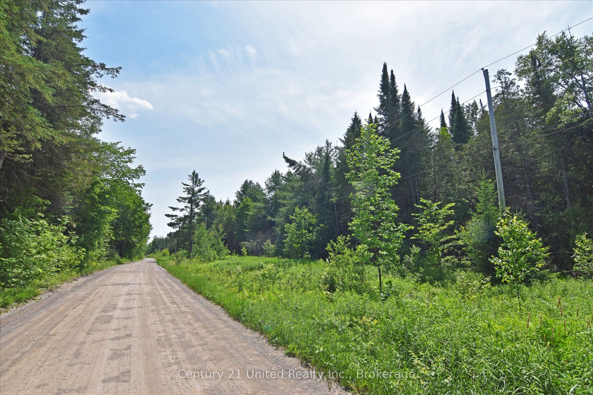 707 S Dummer 8th Line Road Property Photo 5
