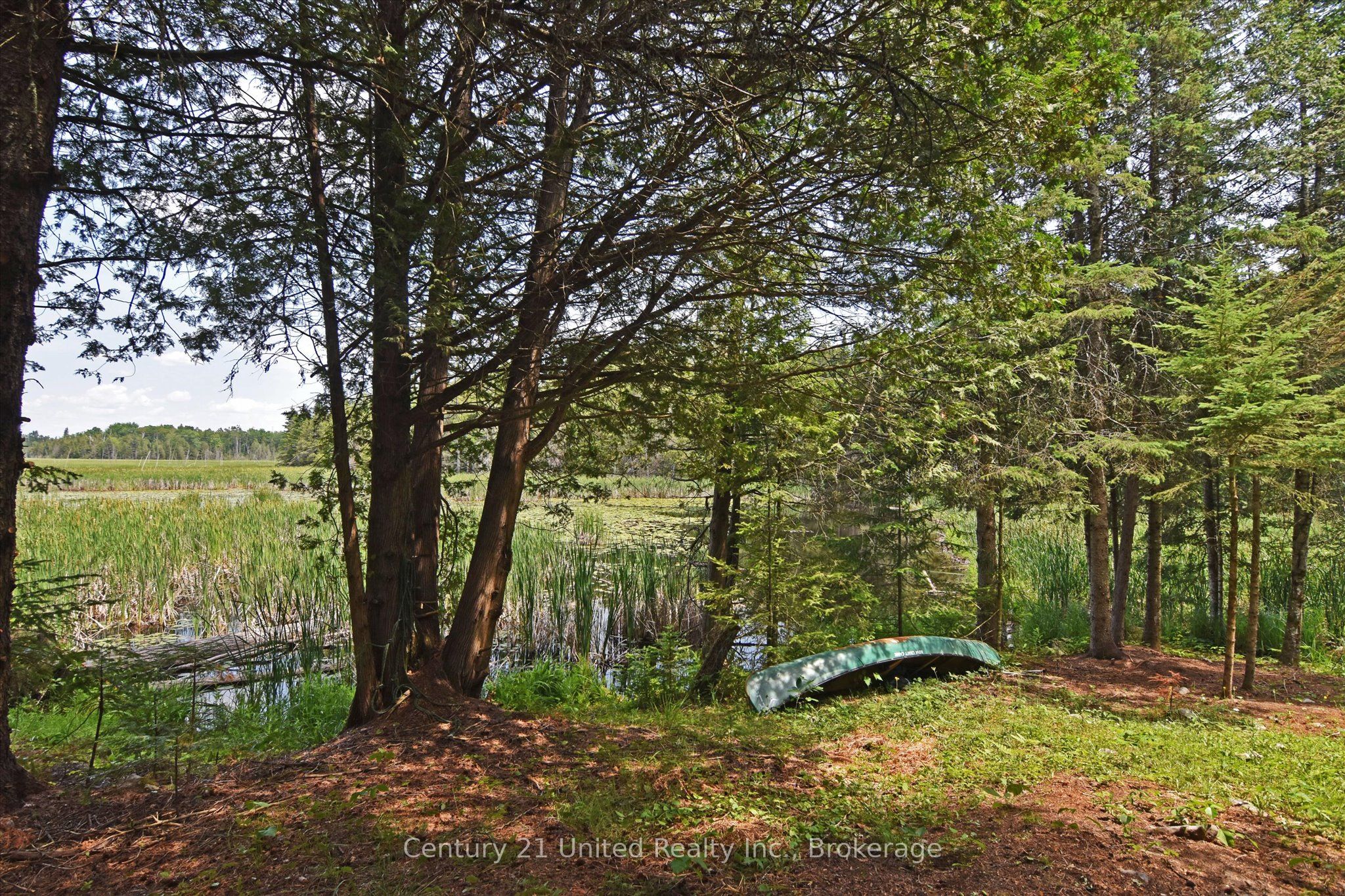 707 S Dummer 8th Line Road Property Photo 16