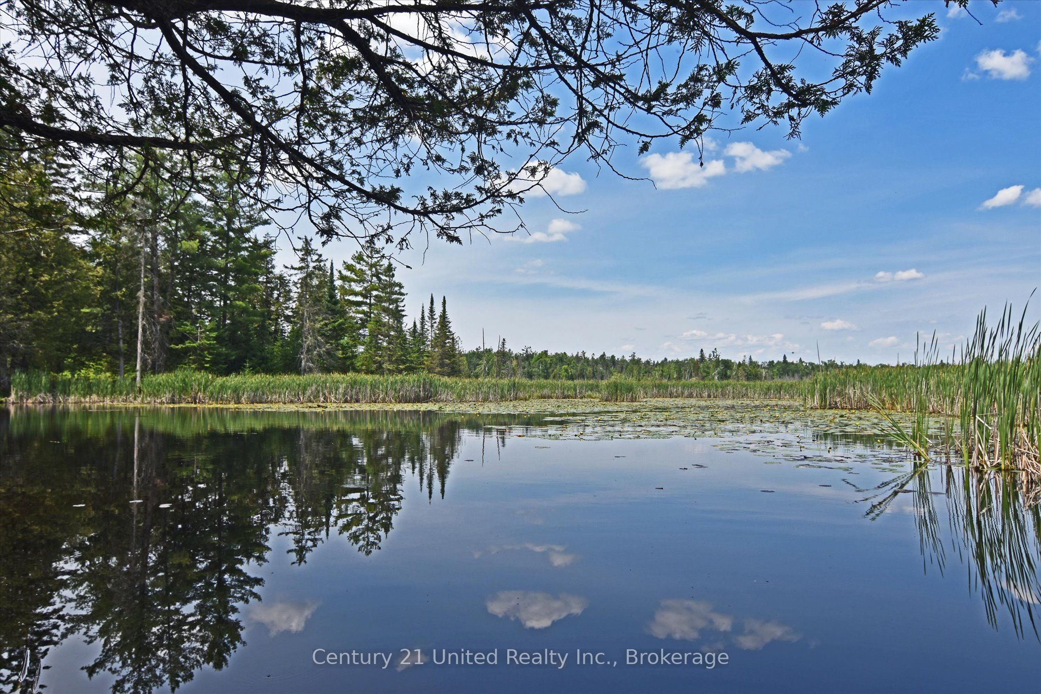 707 S Dummer 8th Line Road Property Photo 18