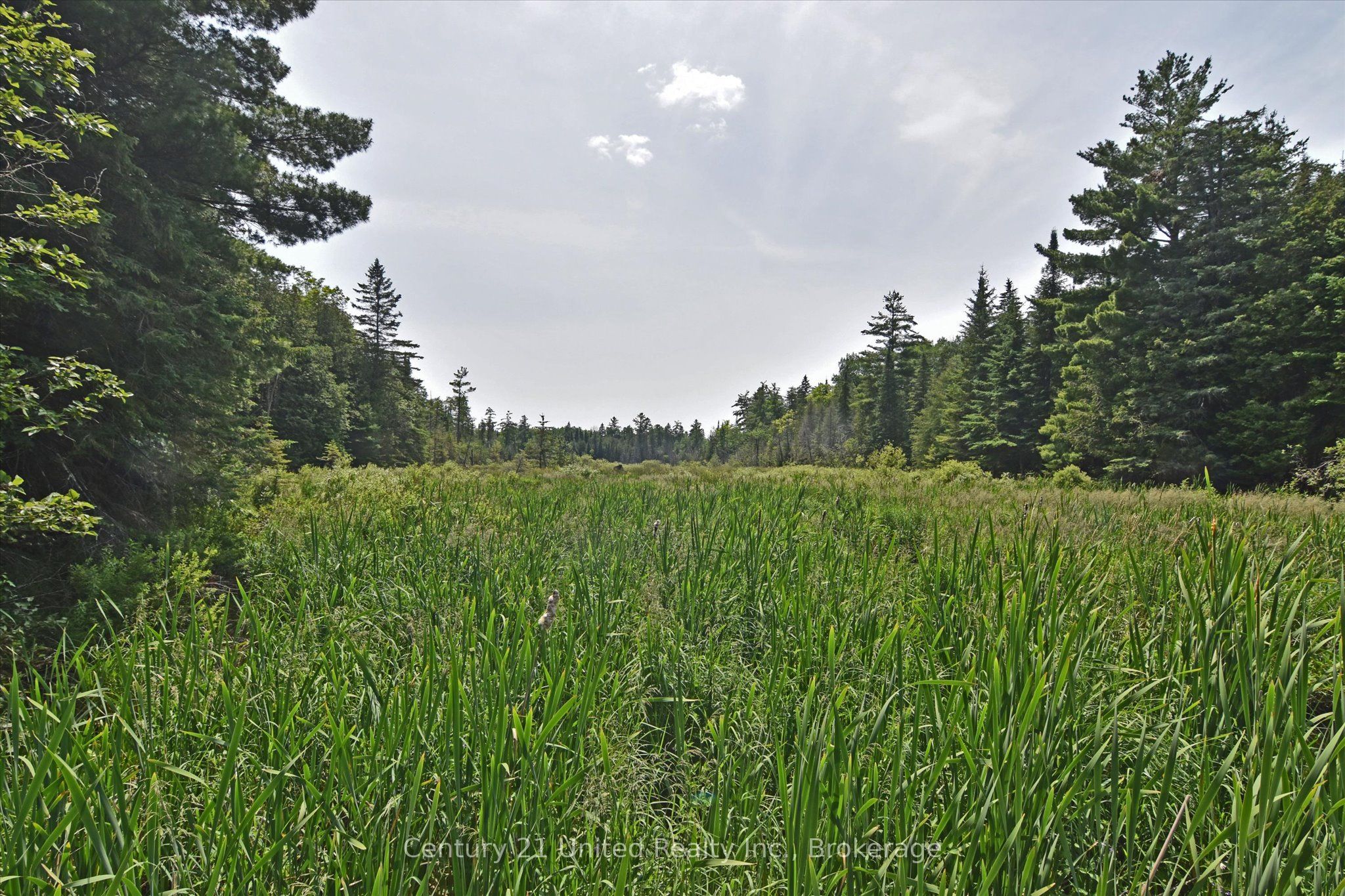 707 S Dummer 8th Line Road Property Photo 19