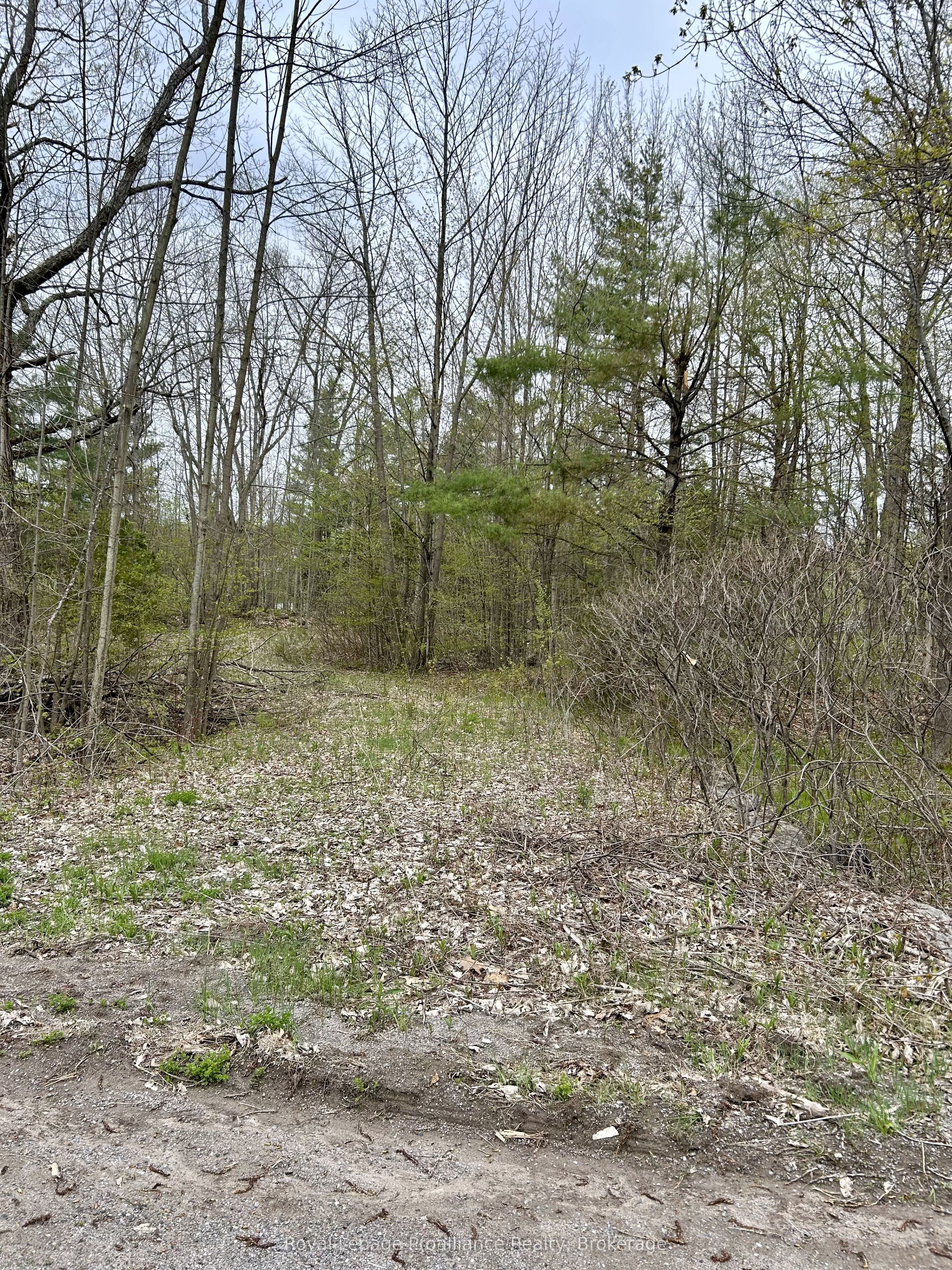 31 Glen Ridge Road Property Photo 3
