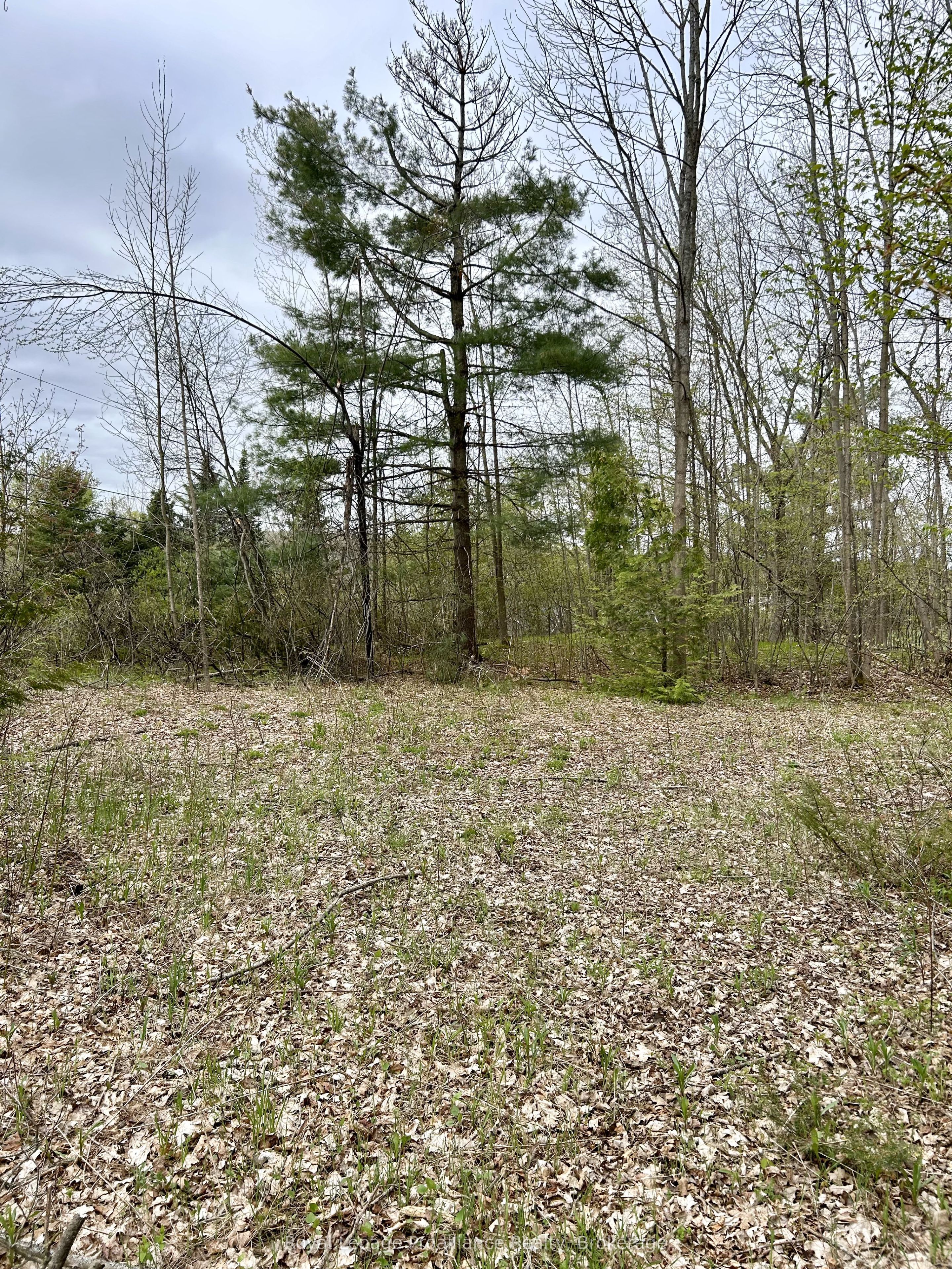 31 Glen Ridge Road Property Photo 4