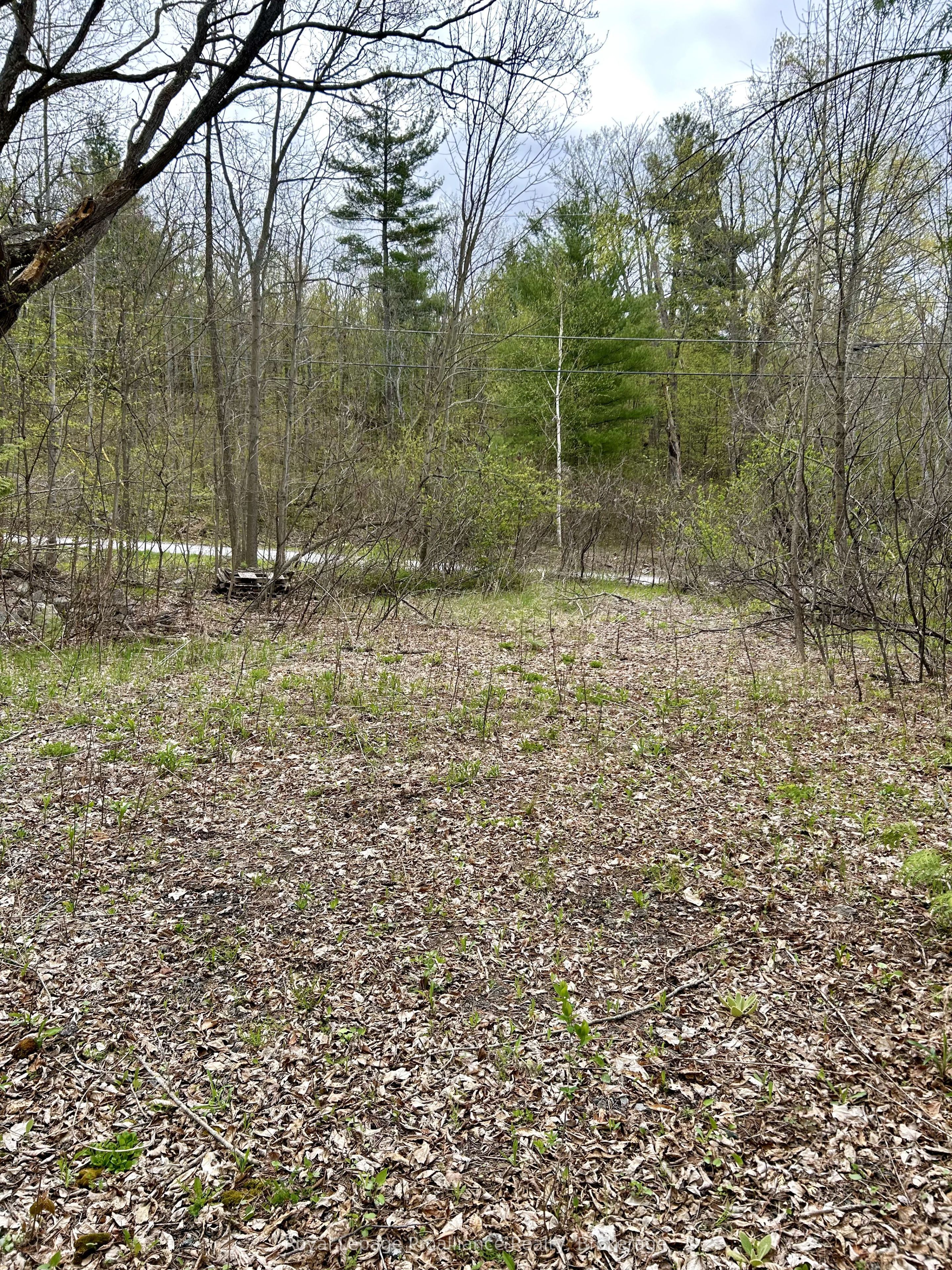 31 Glen Ridge Road Property Photo 5